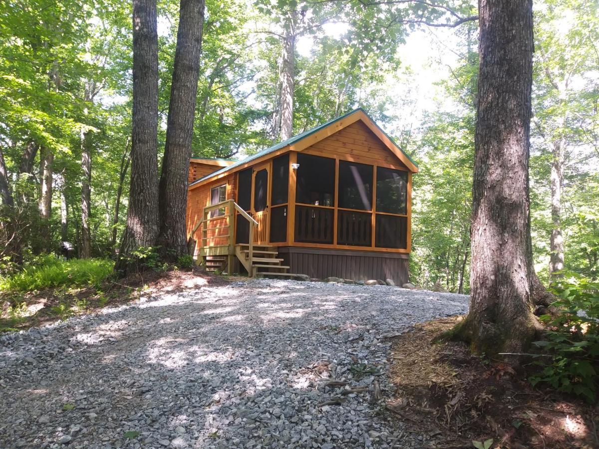 Two Rivers Cabins - The Mountaintop Бревард Экстерьер фото