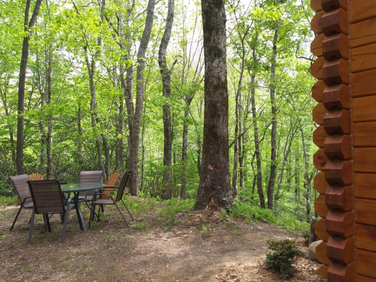 Two Rivers Cabins - The Mountaintop Бревард Экстерьер фото